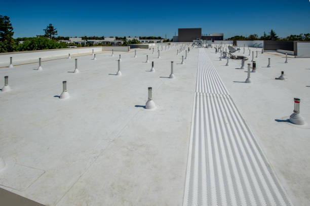 Best Roof Moss and Algae Removal  in Sierra Madre, CA